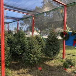 Blue Ridge Tree Farm