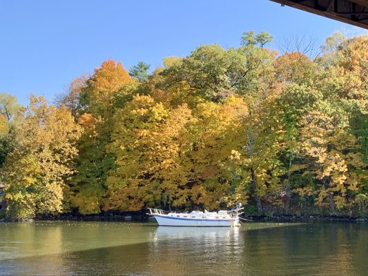 Hudson River Cruises by null