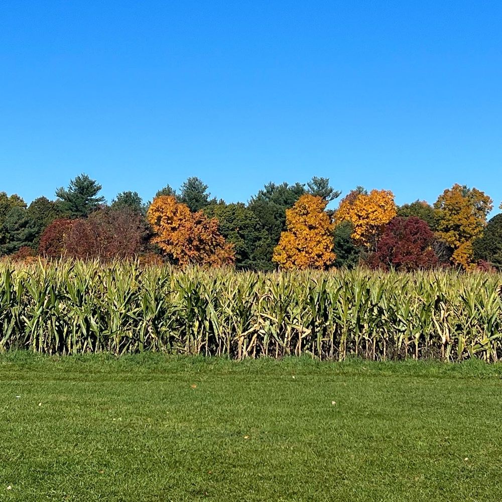 SCHARTNER FARMS 10 Photos & 15 Reviews 211 W Berlin Rd, Bolton, MA