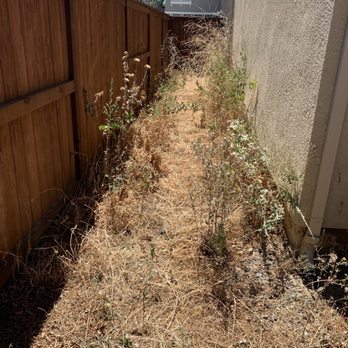 Alejandro’s Landscaping - Landscaping Near Me Alejandro’s Landscaping - Landscaping Near Me
