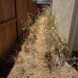 Alejandro’s Landscaping
