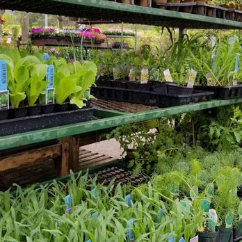 Sloat Garden Center - Nurseries & Gardening Near Me - Kentfield, California