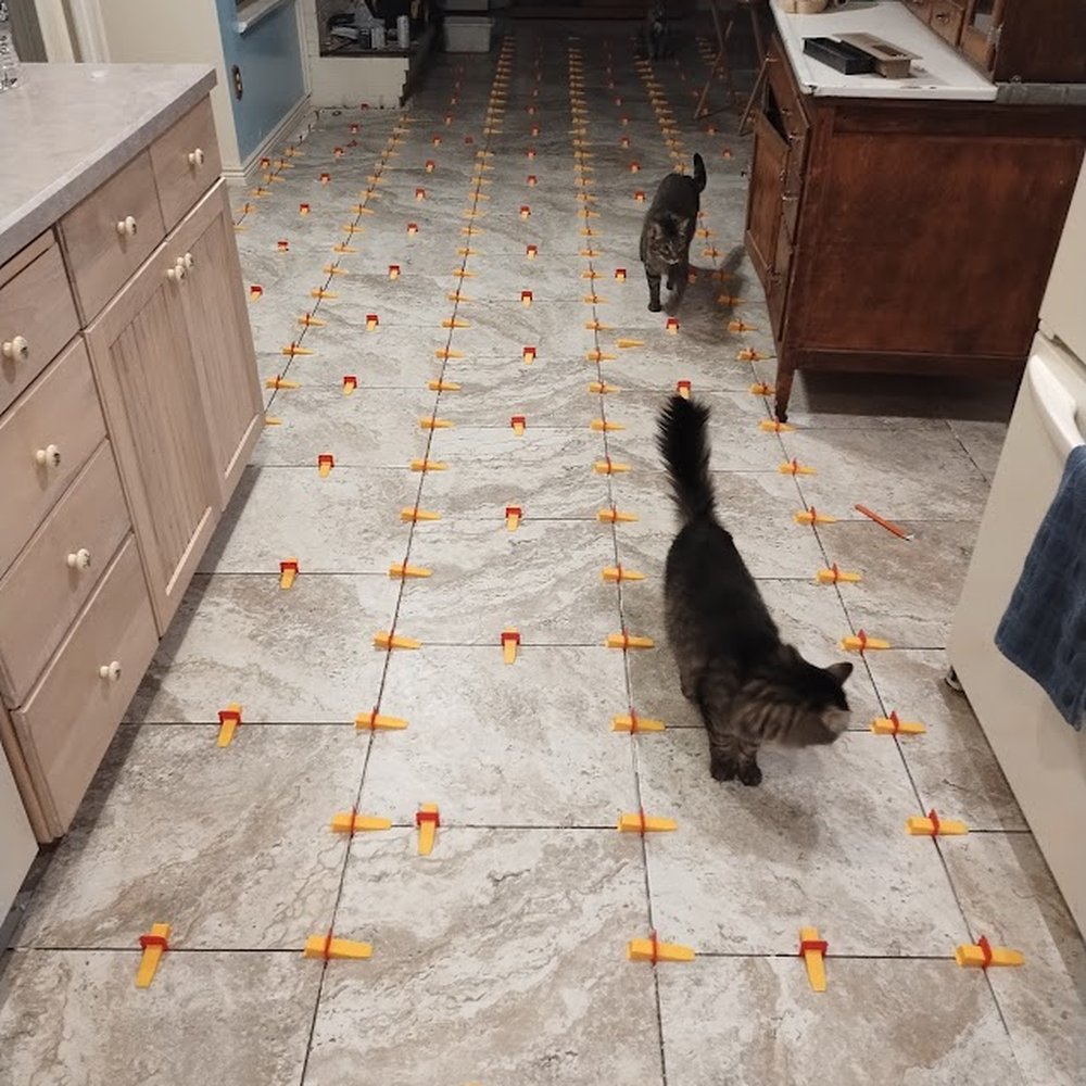 Custom Professional Renovations - My cats check out the new floor in progress. - General Contractors Near Me - Englewood, Colorado