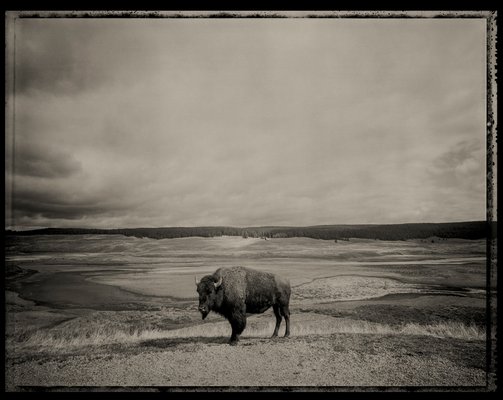 Edition ONE Gallery by null