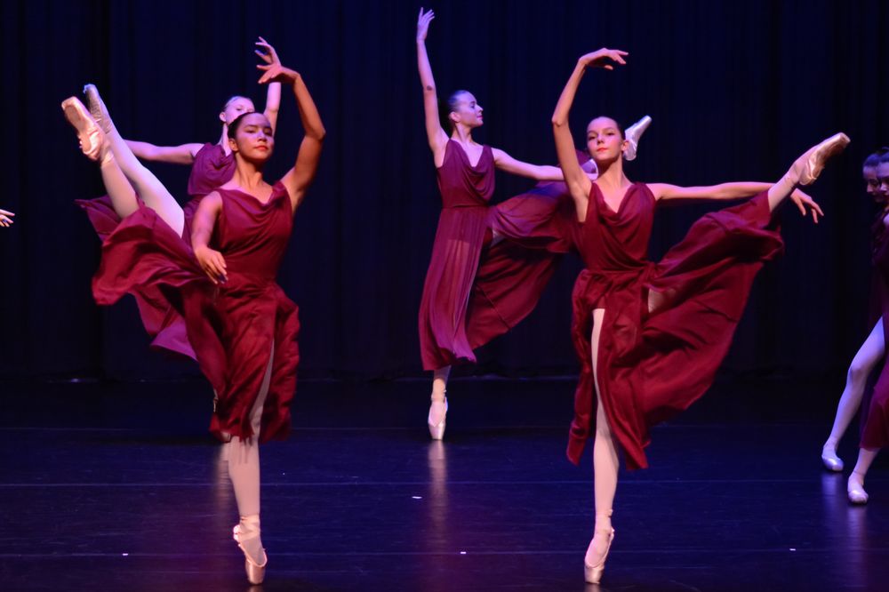 Alexander Academy of Performing Art Logo