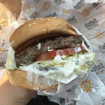 Habit Burger & Grill - What's with the amount of mayo ?? - Burgers Near Me - Rosemead, California Habit Burger & Grill - What's with the amount of mayo ?? - Burgers Near Me - Rosemead, California