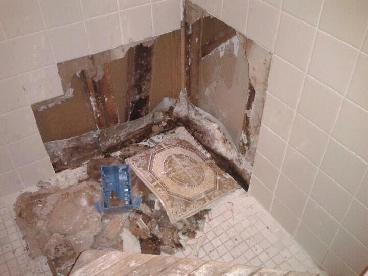 Slide of G&P Root Raiders