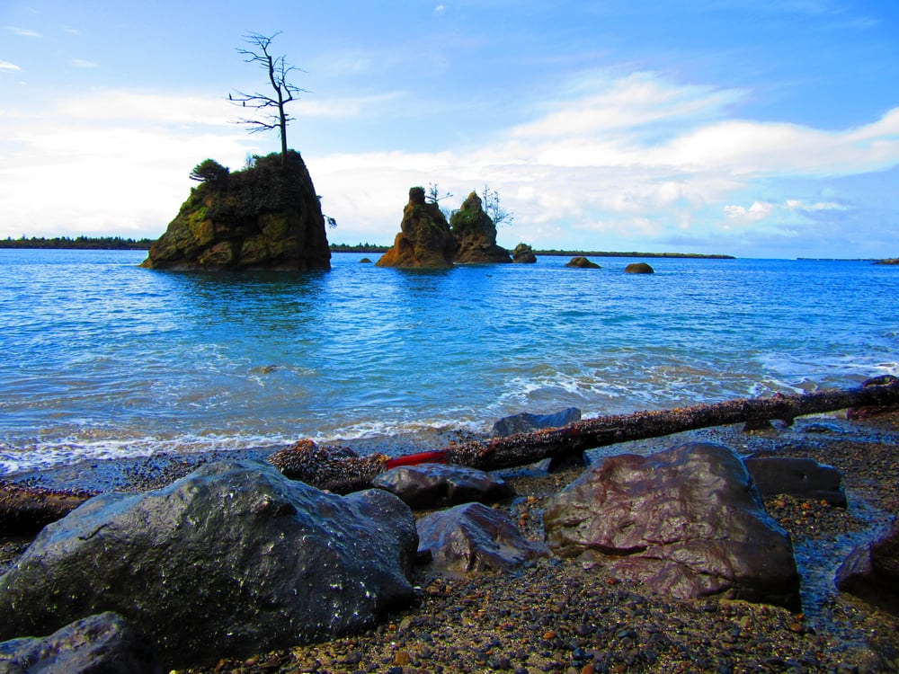 TILLAMOOK RV PARK Updated July 2024 39 Photos 1950 Suppress Rd N