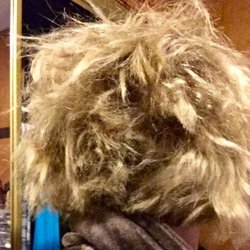 Hair We Are