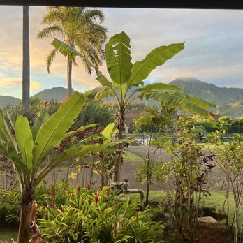 Hanalei Bay Resort - View from living room patio ground floor - Resorts Near Me - Princeville, Hawaii Hanalei Bay Resort - View from living room patio ground floor - Resorts Near Me - Princeville, Hawaii