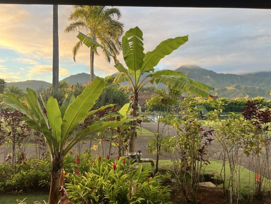 Hanalei Bay Resort by null