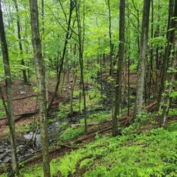 The Ashokan Rail Trail ART - Ashokan Trail