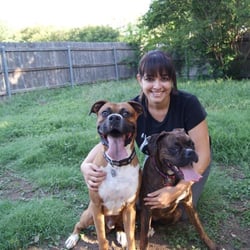 Dogs 512 - They love Sylvia!