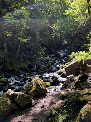 Starvation Creek Falls by null