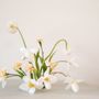 Photo of Rabble Flowers