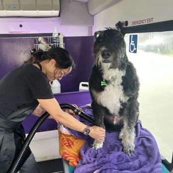 Groomer On The Go - Pet Groomers Near Me
