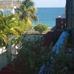 Trade Winds Guest House - The few from my back door
