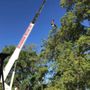 Photo of El Dorado Hills Tree Specialist