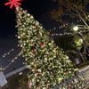 Canyon Crest Towne Centre gift card