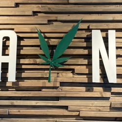 Jayne Cannabis Dispensary Portland - The outer waiting area of this shop.