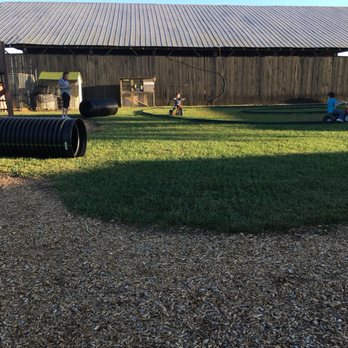 Just Piddlin Farm And Pumpkin Patch - Pumpkin Patches Near Me - Woodburn, Kentucky