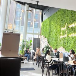 Winfield Street Coffee - Stamford - Interior is cute