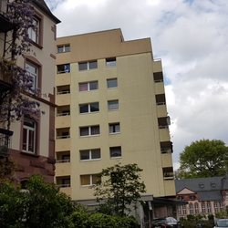 IGS Nordend - vorne Blauregen am Haus, hingen IGS