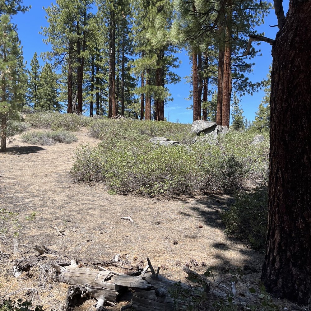 Zephyr Cove Stables - Trail Views - Horseback Riding Near Me - Zephyr Cove, Nevada Zephyr Cove Stables - Trail Views - Horseback Riding Near Me - Zephyr Cove, Nevada