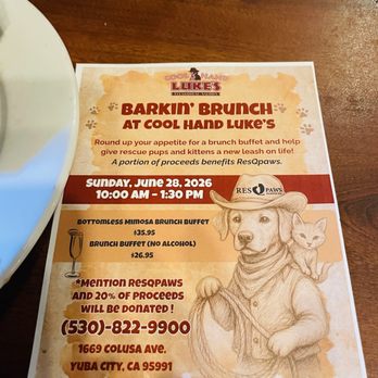 Cool Hand Luke's - Steakhouses Near Me - Yuba City, California Cool Hand Luke's - Steakhouses Near Me - Yuba City, California