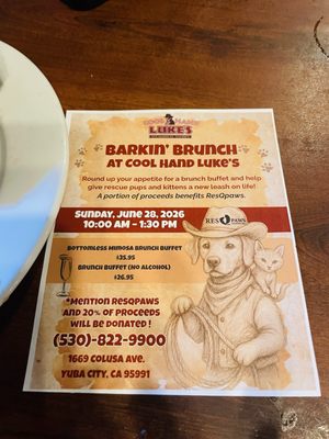 Menu photo 1 Cool Hand Luke's Yuba City, CA