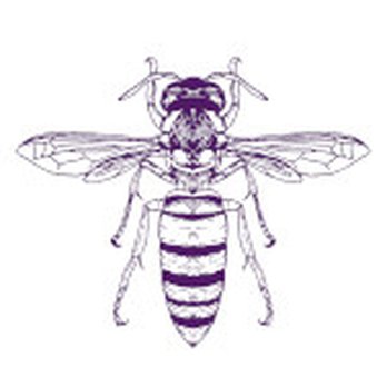 XterminatriX - Pest Control Near Me XterminatriX - Pest Control Near Me