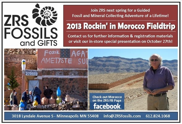 ZRS Fossils & Gifts by null