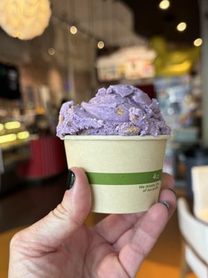 Mallard Ice Cream by null