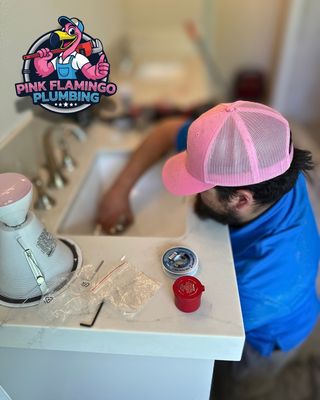 Pink Flamingo Plumbing by null