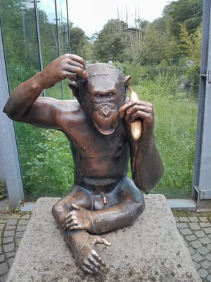 Hellabrunn Zoo by null