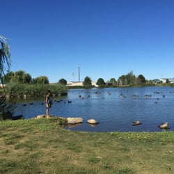 Fireman's Pond - Lots of ducks and beautiful pond. A great place to let the kids see some ducks.