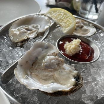 Brigantine - Oysters - so good - Seafood Near Me - Del Mar, California Brigantine - Oysters - so good - Seafood Near Me - Del Mar, California
