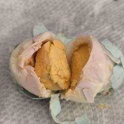 Hung Phat Meat Market - Contaminated  or with viral infection from hen