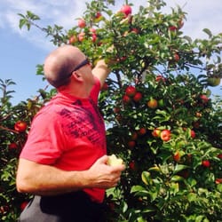 Oneida Apple Orchard - Honey Crisp