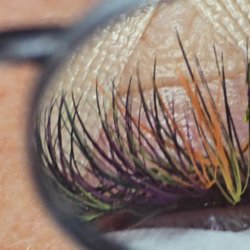 The Lash Nap