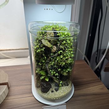 Aqua Forest Aquarium - Aquarium Services Near Me - San Francisco, California