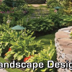 MTS Landscaping & Design