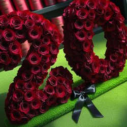 Dots by Karina - Red roses number 20