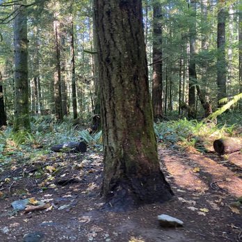 Spring Beach - Parks Near Me - Youbou, British Columbia