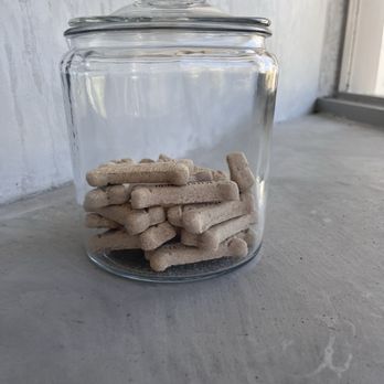 Blue Bottle Coffee - Dog treats in the cubby by the entrance - Coffee & Tea Near Me - Santa Rosa, California