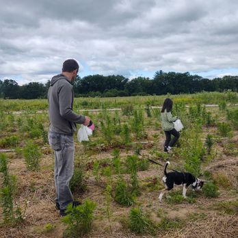 Greig Farm - Dog friendly - Farmers Market Near Me - Red Hook, New York