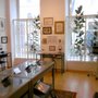 Museum der Johann Strauss Dynastie