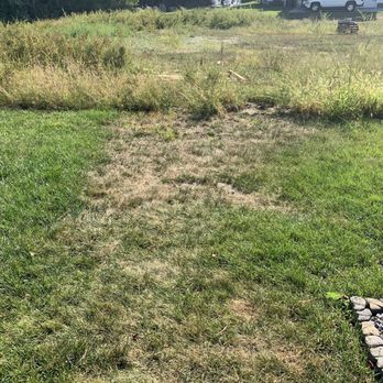 TruGreen Lawn Care - Tree Services Near Me - Richmond, Virginia TruGreen Lawn Care - Tree Services Near Me - Richmond, Virginia
