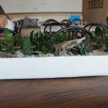 Seed N Salt - Terrariums - Canadian (New) Near Me - Calgary, Alberta Seed N Salt - Terrariums - Canadian (New) Near Me - Calgary, Alberta