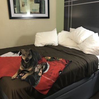 Best Western Coachlight - Hotels Near Me - Rolla, Missouri